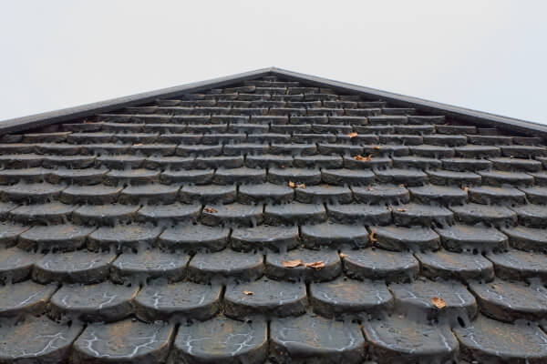 6 Things You Should Know About Slated Roofs